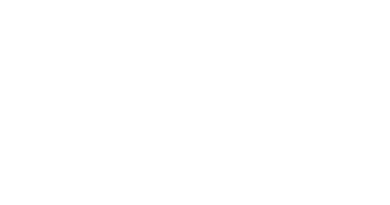柔術 JIU-JITSU